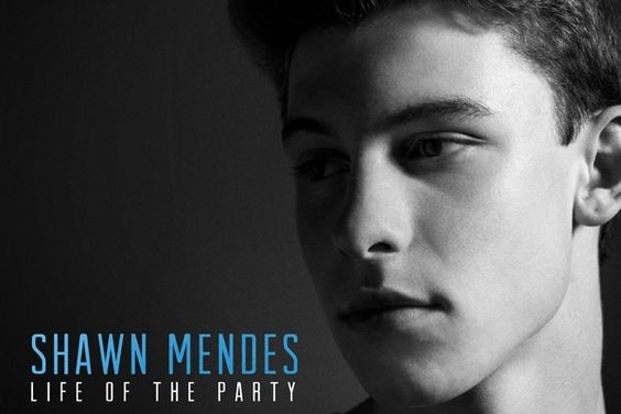 Shawn Mendes _ Life Of The Party