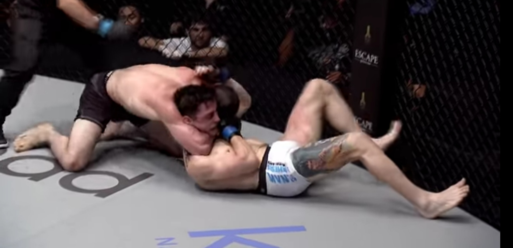 سابمیشن وحشتناک در مسابقات mma (عکس)
